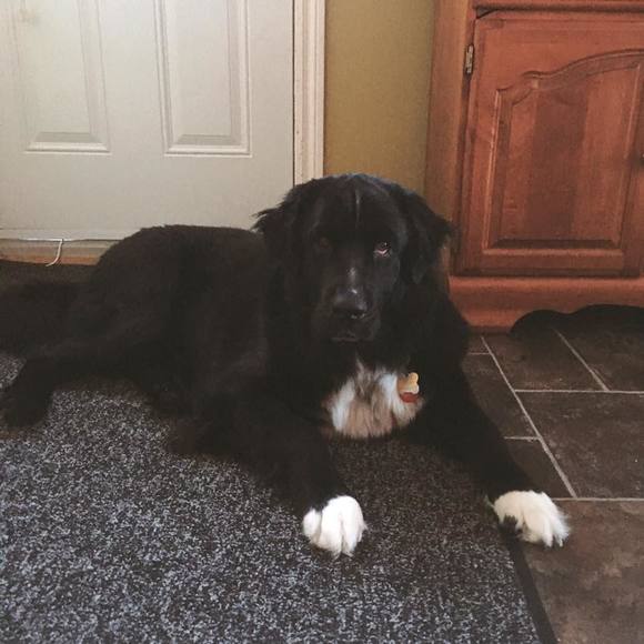 Meet your Posher, Martyne - Picture 1 of 1